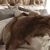 Luxury Classic Carved Upholstered Bed Frame