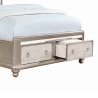 Elegant Champagne Silver Upholstered Panel Bed with Storage Footboard