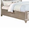 Elegant Champagne Silver Upholstered Panel Bed with Storage Footboard