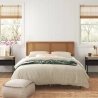 Minimalist Mid-century Modern Bed Frame with Natural Cane Headboard