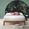 Modern Minimalist Solid Wood Platform Bed Frame for Bedroom