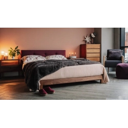 Modern Minimalist Fabric Sofa with Solid Wood Base