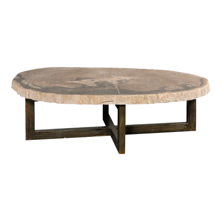 Mulyoharjo Huge Live-Edge Petrified Wood Coffee Table Furniture Supplier Indonesia