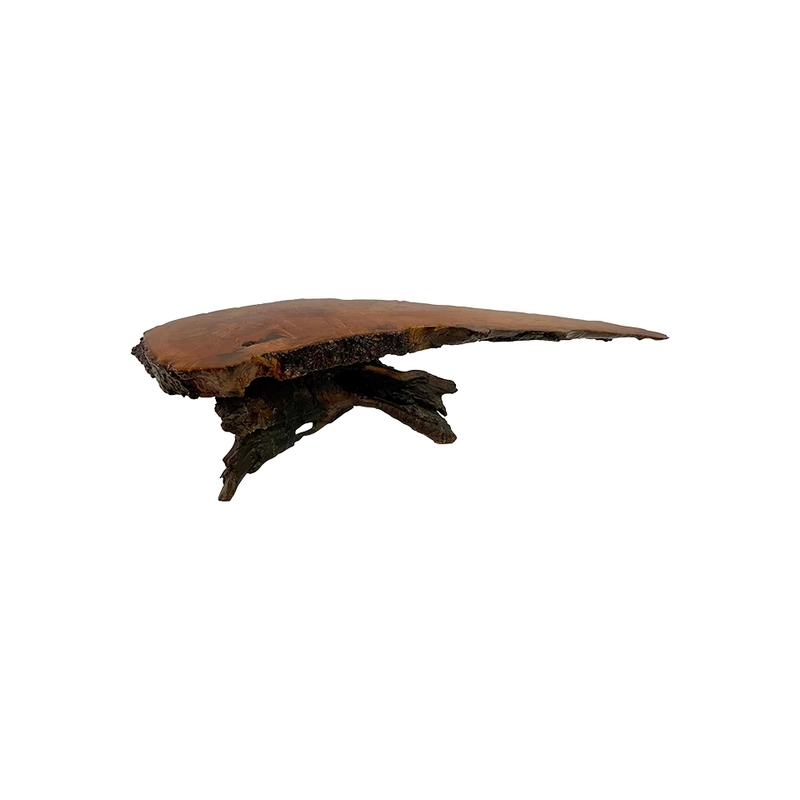 Mulyoharjo Organic Live Edge Lacquered Cypress Wood Coffee Table Furniture Supplier Indonesia